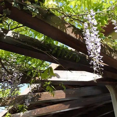 Avec Commodites Oda ve Kahvaltı