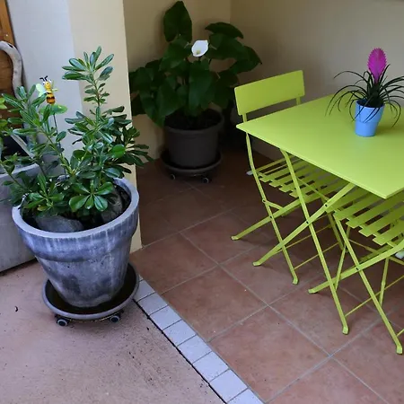 Avec Commodites 4* Patrimonio