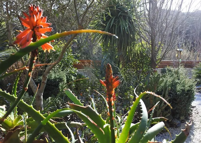 Avec Commodites Patrimonio