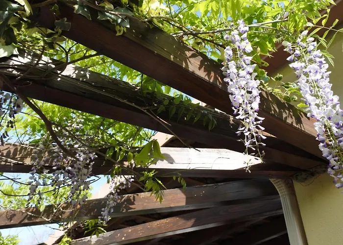 Avec Commodites Alojamento de Acomodação e Pequeno-almoço