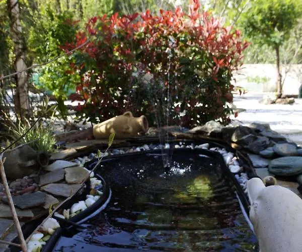 Avec Commodites Oda ve Kahvaltı