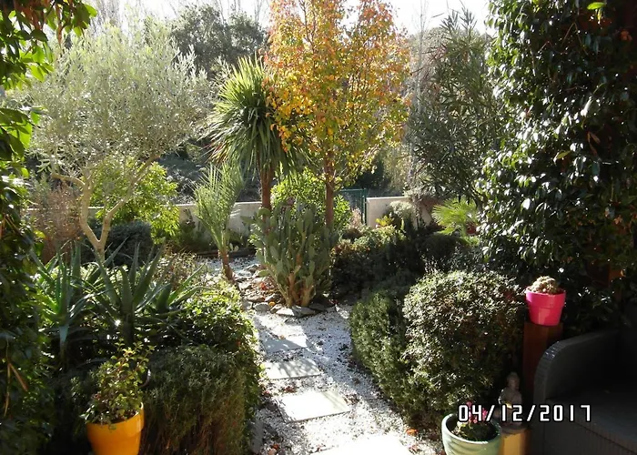 Avec Commodites Oda ve Kahvaltı